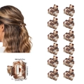 12-piece set of mini tortoiseshell resin hair claws in translucent brown shades - All Matte Gray Leopard