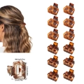 12-piece set of small square tortoiseshell hair claw clips for versatile hairstyling - Matte and Glossy Yellow Leopard Mixed