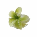 Pinza per capelli a fiore plumeria verde sfumato in resina traslucida con finitura opaca - Fiore Sfumato Opaco (FT-2389) / Verde Opaco