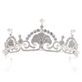 Dettaglio della corona da sposa in lega d'argento con strass e perle bianche lucide - Stile Argento (H1093)