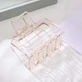Pince à cheveux rectangulaire transparente avec ressort doré pour coiffure féminine - Nude Transparent
