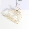 Détail d'une pince à cheveux carrée champagne translucide avec finition brillante - Beige Translucide