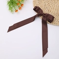 Detail shot of a dark brown double-layer polyester ribbon bow hair clip on a white background - Coffee