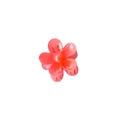 Haarklammer mit rosa durchscheinender Frangipani Blume für elegante Sommerfrisuren - Wassermelonenrot