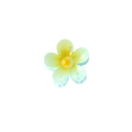 Haarklammer in Plumeria-Blütenform mit gelb-grünem Farbverlauf und Gelee-Oberfläche - Himmelblau