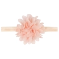 Pink chiffon flower baby headband with flexible champagne elastic strap for infants - Snow Bud