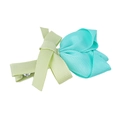 Détail d'un nœud papillon en ruban gros-grain bleu et vert avec pince crocodile - Vert