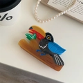 Pinza per capelli creativa a forma di tucano in acetato con design colorato di uccelli - Picchio