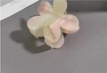 Elegante pinza per capelli a camelia con sfumatura perlata gialla e rosa - Rosa Multicolore