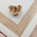 Macro detail of bear-shaped acetate hair clip with tortoiseshell texture and gold accents - Coffee-Approx 2cm