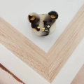 Detailed macro shot of an acetate bear hair claw with tortoise shell pattern and gold accents - Black and White-Approx 2cm