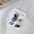 Detail of poodles-shaped acetate hair clip with rhinestones on fashion jewelry card - 4.7cm*5.3cm / Black & White