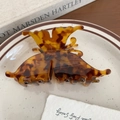 Detailed close-up of tortoise shell butterfly hair claw clip with elegant resin texture - 10cm / Caramel color
