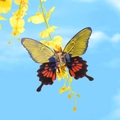 Bunte 3D Acryl Schmetterling Haarklammer mit leuchtend orangen und blauen Flügelmustern - Gelber Schmetterling (12.3cm)
