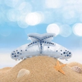 Große perlweiße Haarklammer mit blauem Strass-Seestern im sommerlichen Strand-Design - 11.6cm / Blau