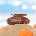 Pince à cheveux marron pailletée avec des étoiles de mer en strass sur fond de sable - Café 8.7cm