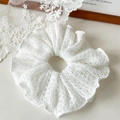 Dettaglio dell'elastico in pizzo bianco con raffinati motivi floreali in maglia traforata - Stile Maglia Pointelle / Bianco Puro (B034)