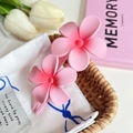 Detailed macro of two matte pink gradient plumeria hair clips in a woven basket - 1# Pink 10.5cm