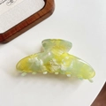 Primer plano de pinza para el cabello con diseño jaspeado y letras doradas La France - Verde Fruta Patrón Concha