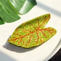 Leaf-shaped acetate hair claw clip in grass green marble finish with red vein detail - Light Green-10CM