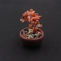 Handmade red crystal money tree in ceramic pot with colorful natural gemstone base - Natural Red Agate Tree
