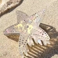 Molla per capelli a stella marina in resina crema con cristalli sulla sabbia - Stella Marina con Strass Doppio Lato 8.4cm (PVC)