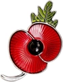 Detail of red enamel poppy brooch showing layered petals and silver metal stem texture - Silver