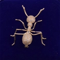 Elegant gold ant brooch with sparkling white cubic zirconia on deep blue velvet - Gold Ant Style