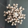 Détail macro de la broche perle en alliage avec base dorée et motif floral en étoile - Blanc