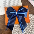 Fermaglio per capelli a doppio fiocco in raso blu navy con perla su sfondo di libro - Blu