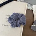 Detaillierte Textur des staubigen lila Samt-Haargummis auf einem künstlerischen Buch - Graublau
