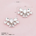 Detailed view of silver rhinestone shoe clips with 5.5cm by 3.5cm size measurements - Main Stone Cluster (SC-J051)