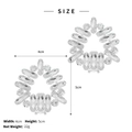 Macro detail of silver crystal rhinestone shoe clips with sparkling marquise gems - Round Cluster Style (SC-J072)