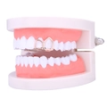 Detailweergave van de vergulde holle frame hoektanden grillz set op gebitsmodel - Goud