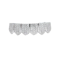 Macro detail of silver iced out hip hop grillz with shimmering pavé zircon stones - Bottoms / Silver
