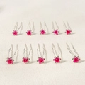 Set mit 10 rosenroten Haarnadeln mit glitzernden Strasssteinen und silbernen U-förmigen Clips - Rot (HS-J6513RED)