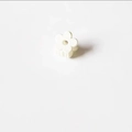 Matte weiße Blumen-Haarklammer für Damen in 1,5cm minimalistischem koreanischem Design - Cremeweiß