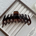 Dettaglio di una grande molletta per capelli tartarugata scura in una scatola di legno - Taglia Grande 13cm