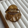 Detail view of amber resin hair claw clip with golden spring on white jewelry box - Jelly Coffee