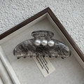 Détail de la pince à cheveux grise à motif dentelle avec trois perles blanches sur texture - Modèle Yuanbao Noir Dentelle Perle