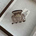 Detail view of amber resin hair claw clip with golden lettering on fabric tray - Transparent Gray Small Claw (Style C)