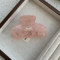 Detail of light pink translucent hair claw clip with gold Barrette La France text - Transparent Pink Rectangular Hollow Claw (Style A)