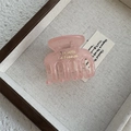Detail of pink translucent acrylic hair claw with golden Barrette La France lettering - Transparent Pink Small Claw (Style C)