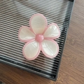 Vue détaillée d'une pince à cheveux fleur rose et blanche sur un plateau de présentation - Blanc Bord Rose Rouge