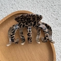 Classic leopard print claw clip in dark coffee and beige finish for women hairstyle - 3+4 Claw Style