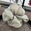 Detail eines übergroßen hellgrünen Chiffon-Scrunchies mit Faltenstruktur auf Holztablett - Grüne Tuschemalerei