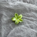 Detail of 4cm flower hair claw clip with green and white marble pattern texture - Gradient Green