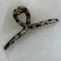 Detailed macro view of large leopard print hair claw clip with strong metal spring - 13cm / Crisscross Grey White Leopard