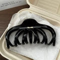 Nahaufnahme der glänzenden schwarzen Haarklammer mit Goldlogo in einer eleganten Box - Schwarz