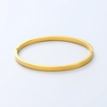 Vista detallada de brazalete ovalado de acero de titanio chapado en oro 18K 4mm pulido - Dorado
